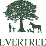 Evertree aus der Höhle der Löwen kaufen